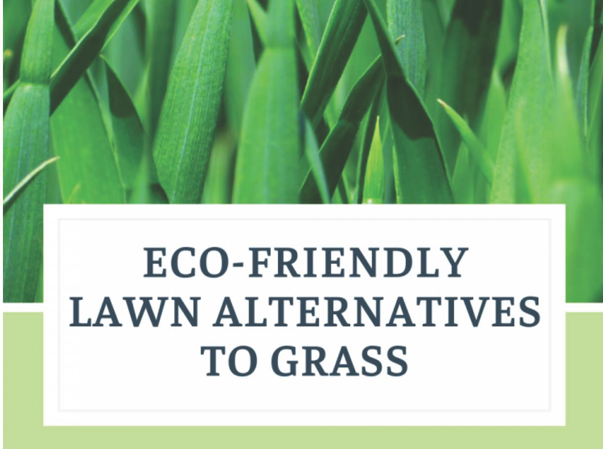 Rethinking the Lawn