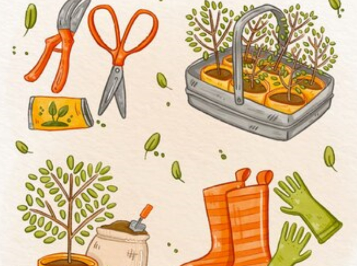 Organic Gardening