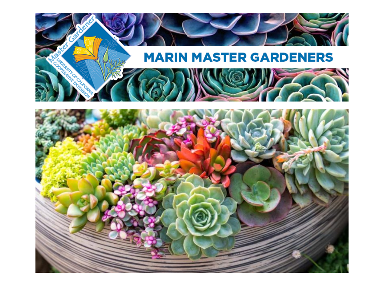 Marin Master Gardeners
